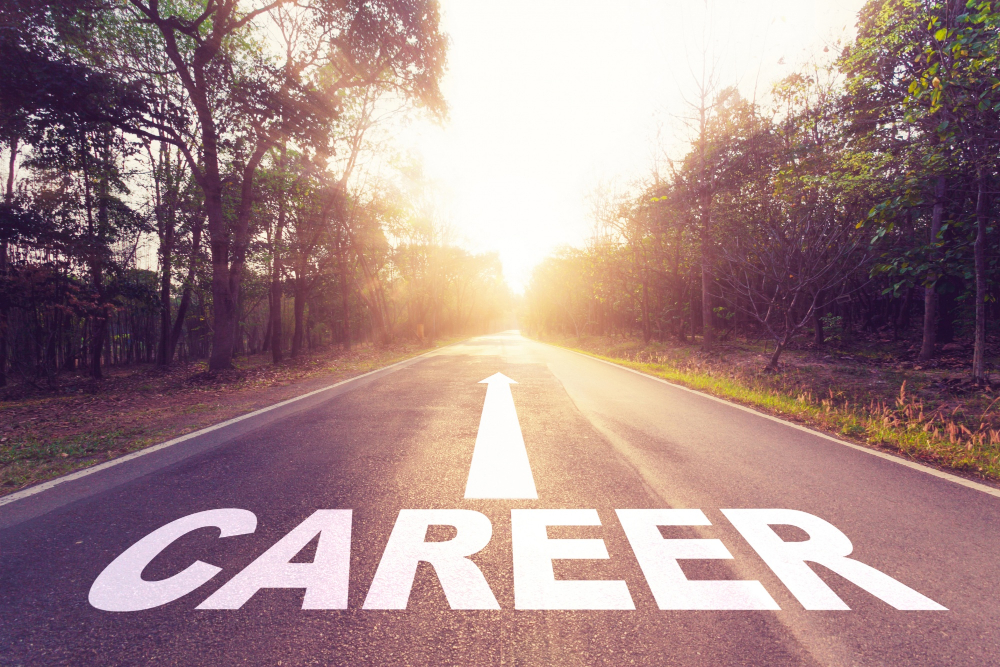 Career Direction, Job Success
